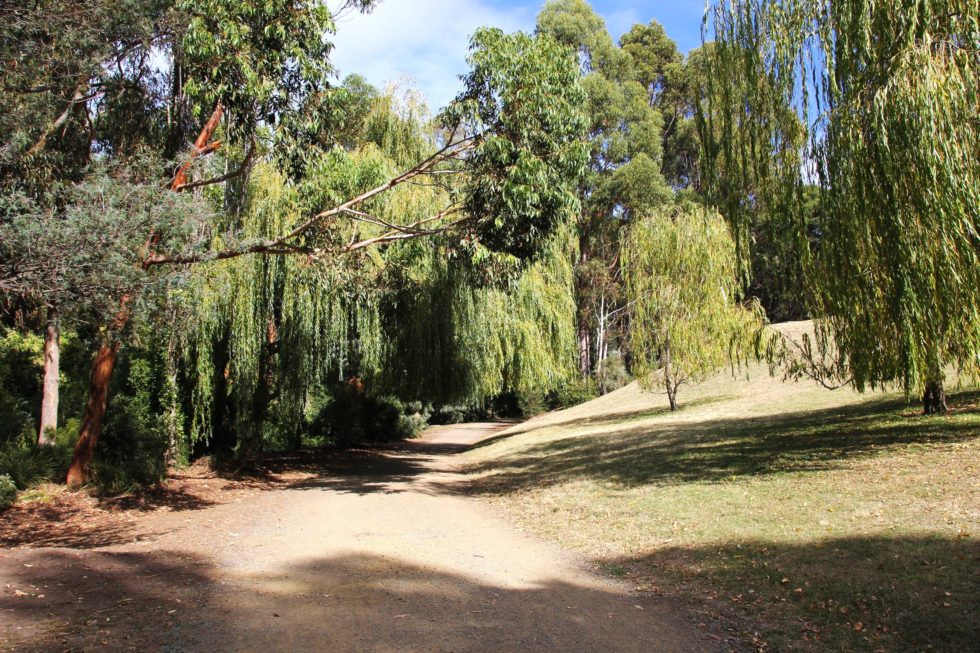 Hobart Rivulet Track – Tasmanian Road Runners